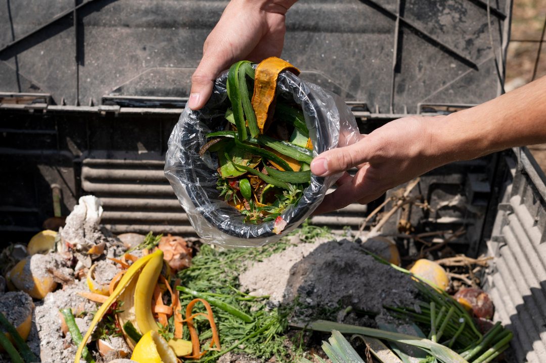 Organic Waste Management Methods And Benefits Shapiro Organic Waste Management Methods And Benefits Shapiro