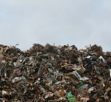 commercial food waste disposal feature image