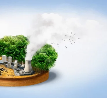 biochar production & biocar feedstock feature image