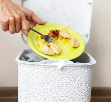 food spoilage coverage insurance feature image