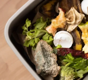 food waste log feature image