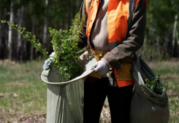 commerical composting feature iamge