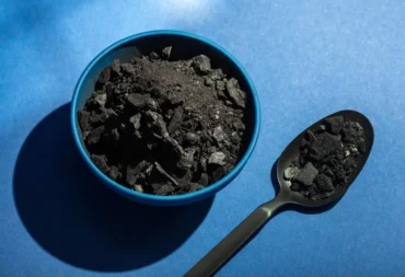 Benefits of Biochar for the Environment feature image
