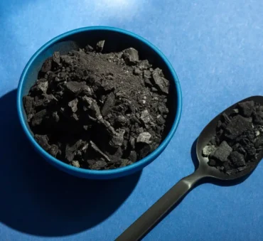 Benefits of Biochar for the Environment feature image