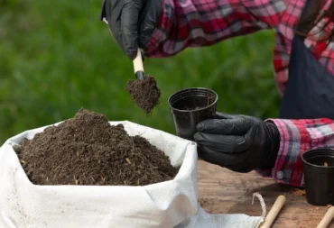 how to speed up composting feature image