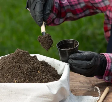 how to speed up composting feature image