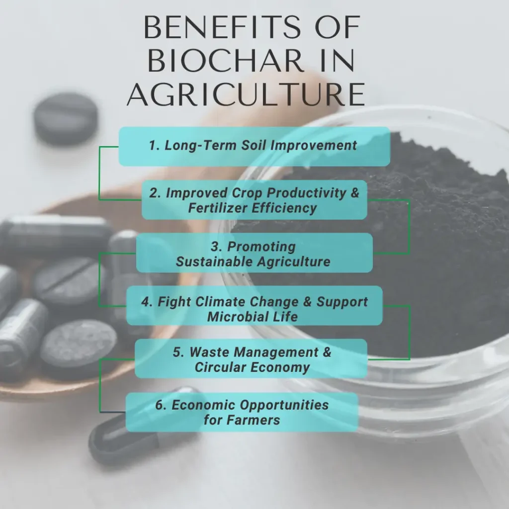 Benefits of BiBenefits of Biochar in Agricultureochar in Agriculture