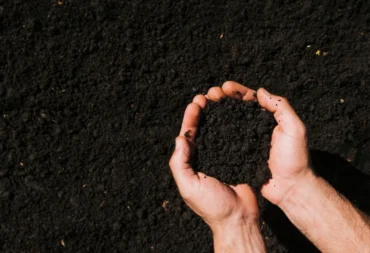 How Biochar Is Used in Agriculture and Farming feature image