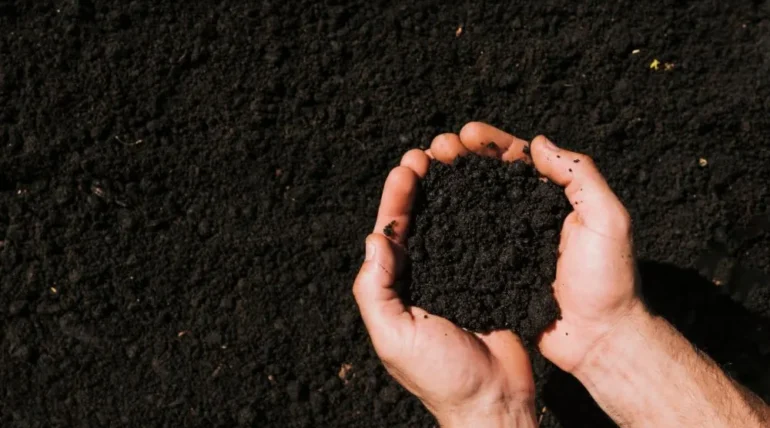 How Biochar Is Used in Agriculture and Farming feature image
