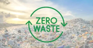 Zero Waste to Landfill: How Companies Can Make It Happen 