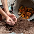 Biochar and Compost feautre image