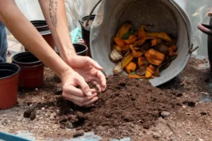 Biochar and Compost: A Sustainable Combination for Soil Health 