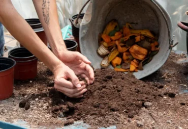 biochar and compost feature image