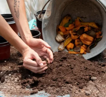 biochar and compost feature image