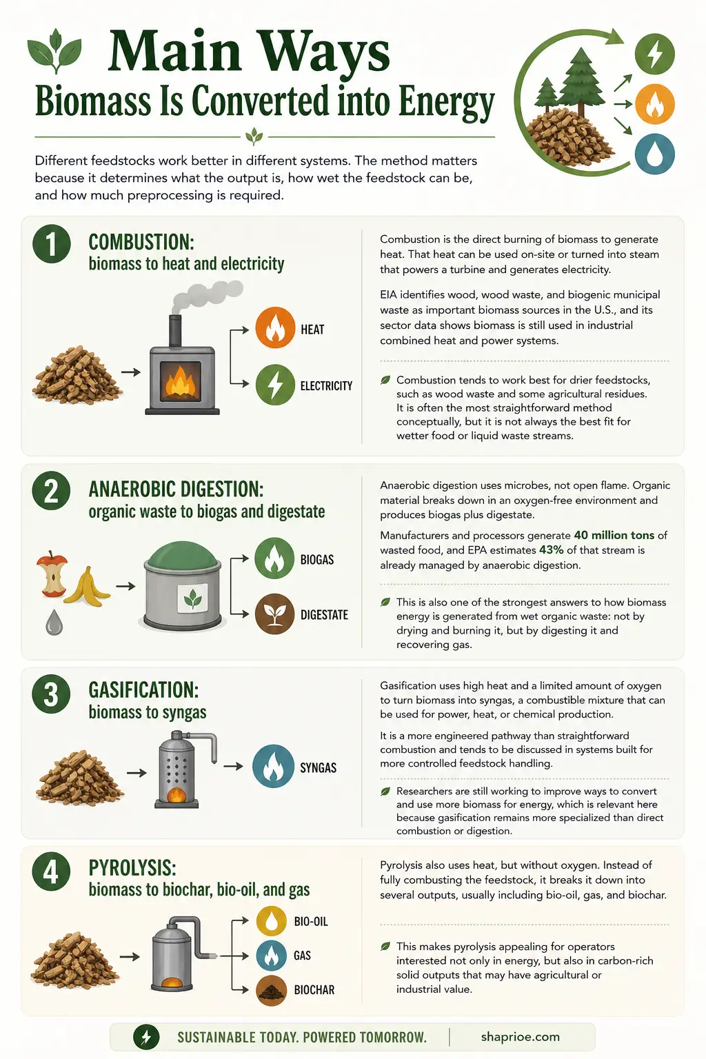 Infographic On The Main ways biomass is converted into energy
