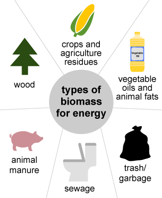 Types of Biomass by U.S. Energy Information Administration