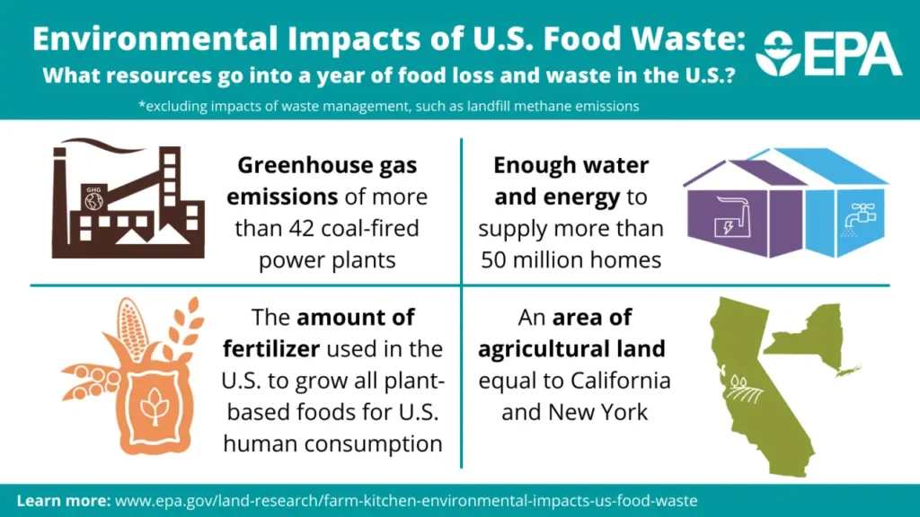 Environmental Impact of a year of wasted food
