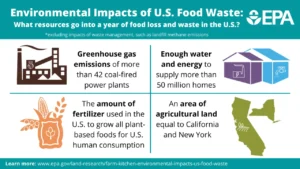 Food Waste Costs: How Large Generators Go From Bin to Benefit 