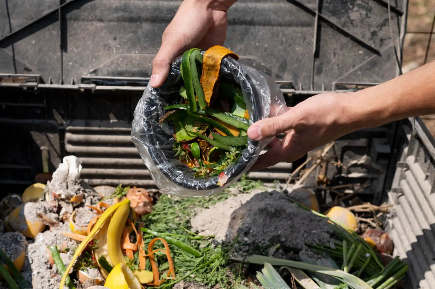 Processed Waste Organic Waste Processing: On-Site vs. Off-Site Options | Shapiro