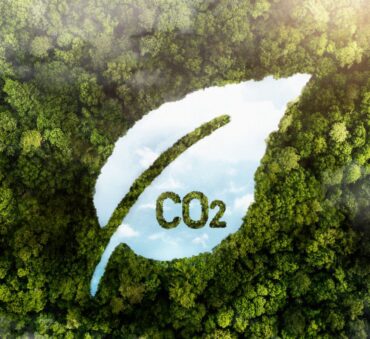 biochar carbon credit feature image