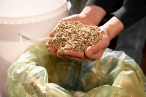 Spent Grains Management: Complete Brewery Byproduct Guide