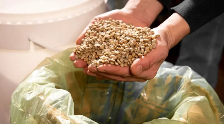 Spent Grains Management Feature Image