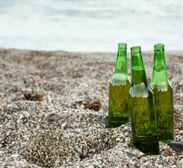 brewery waste disposal feature image